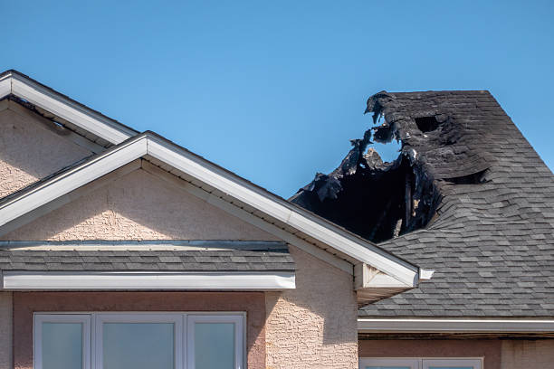 Top rated local Structural Rebuild specialists in Wimauma, FL